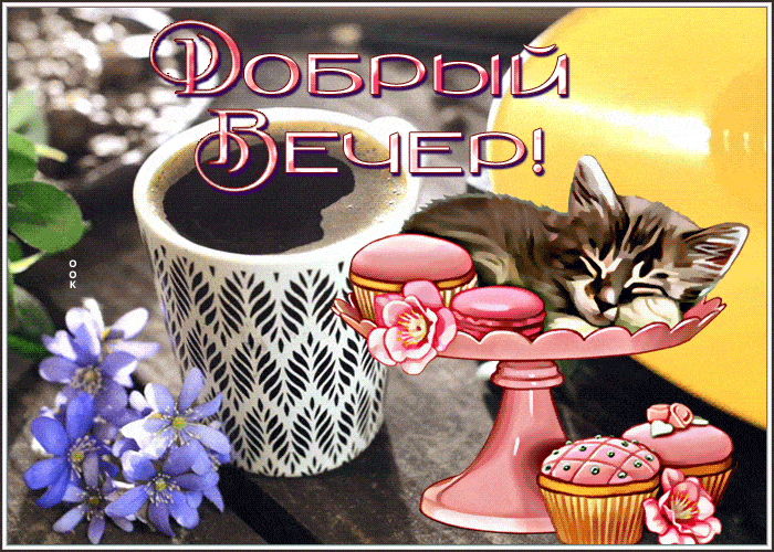 Открытка «Кот»: Добрый вечер с милым котенком и кофе. Тэги: кофе, милый, чашка, красивый, цветок, добрый вечер, вечер…