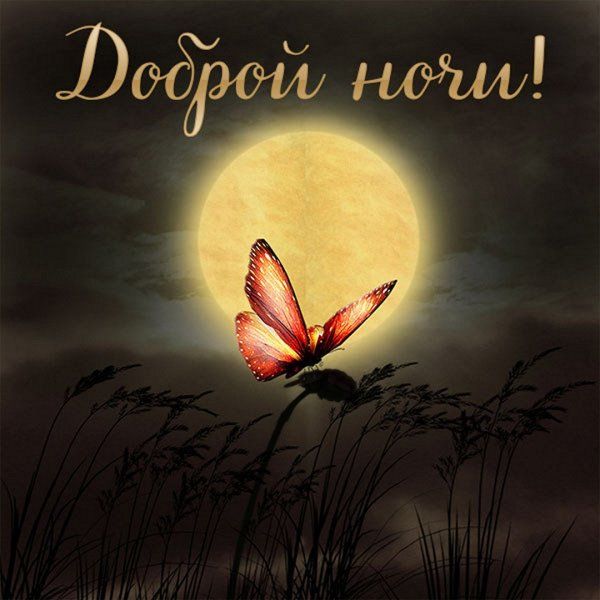 Открытка «Доброй ночи»: Доброй ночи: Волшебная бабочка на фоне большой луны. Тэги: пожелание, красивый, природа…