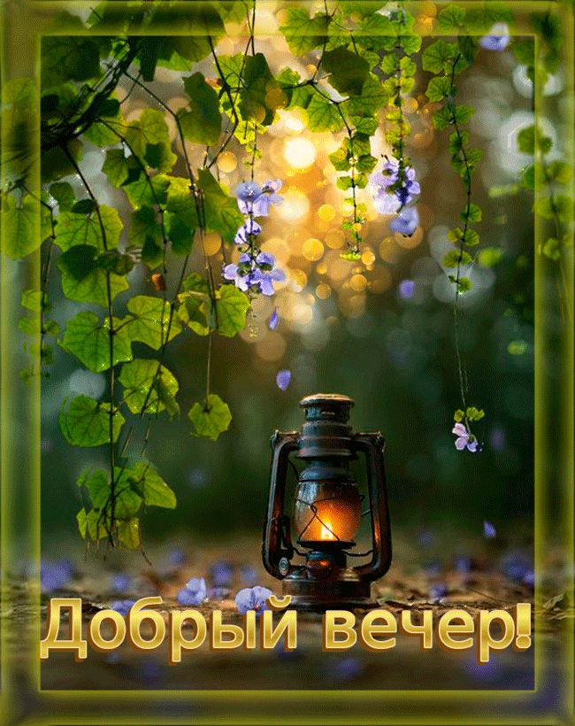 Открытка «Пожелание»: Добрый вечер: старинный фонарь среди листьев и цветов. Тэги: красивый, уютный, отдых, цветок…