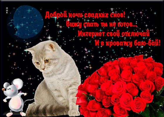Открытка «Доброй ночи»: Доброй ночи: Розы, кот и мышка.