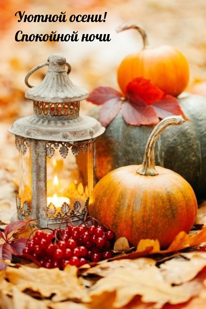 Открытка «Спокойной ночи»: Спокойной ночи: Осенний уют с тыквами. Тэги: Спокойной ночи, красивые, Спокойной ночи…