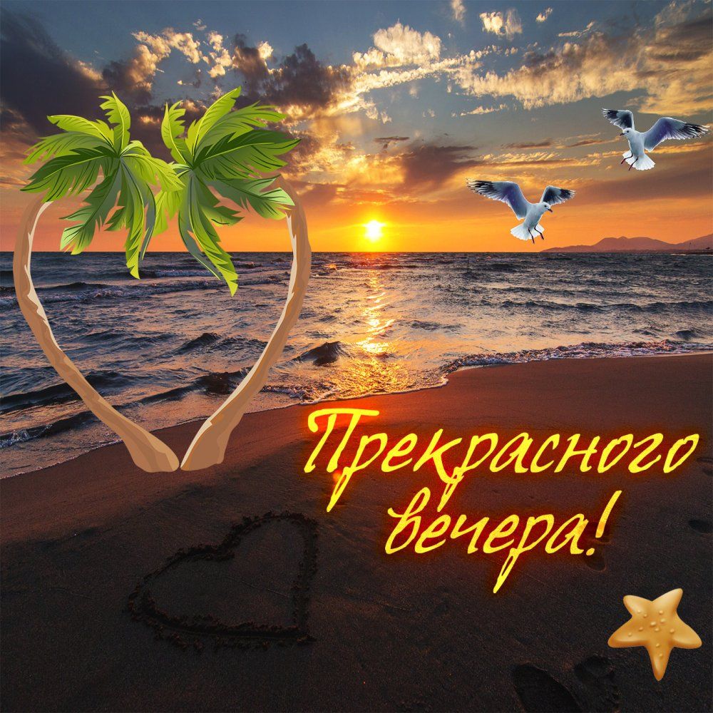 Открытка «Добрый вечер и пожелания»: Прекрасного вечера: «Закат и сердце из пальм». Тэги: Добрый вечер, с надписями…