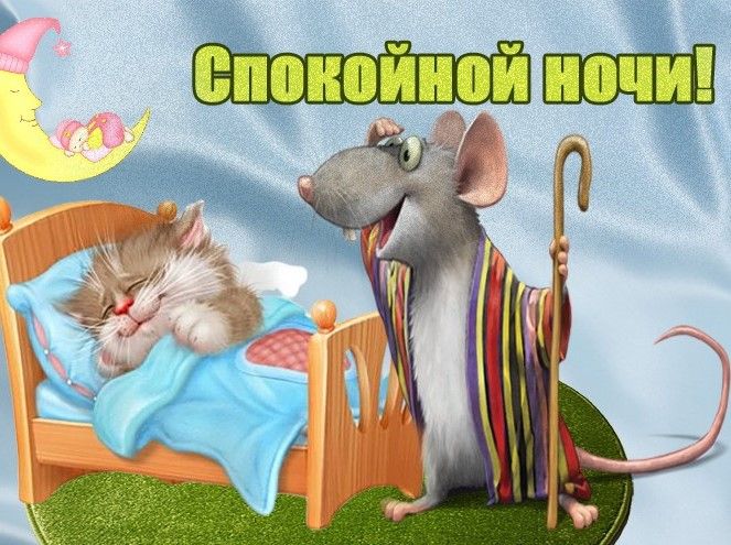 Открытка «Спокойной ночи»: Спокойной ночи: смешная картинка с котом дедушкой. Тэги: трость, Спокойной ночи, с пожелан…