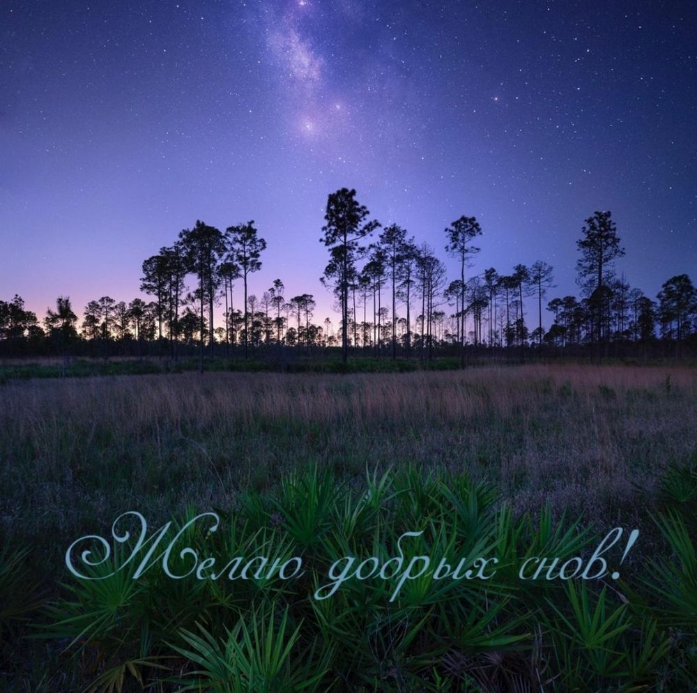Открытка «Доброй ночи»: Пожелание «Желаю добрых снов!» на фоне звездного неба.