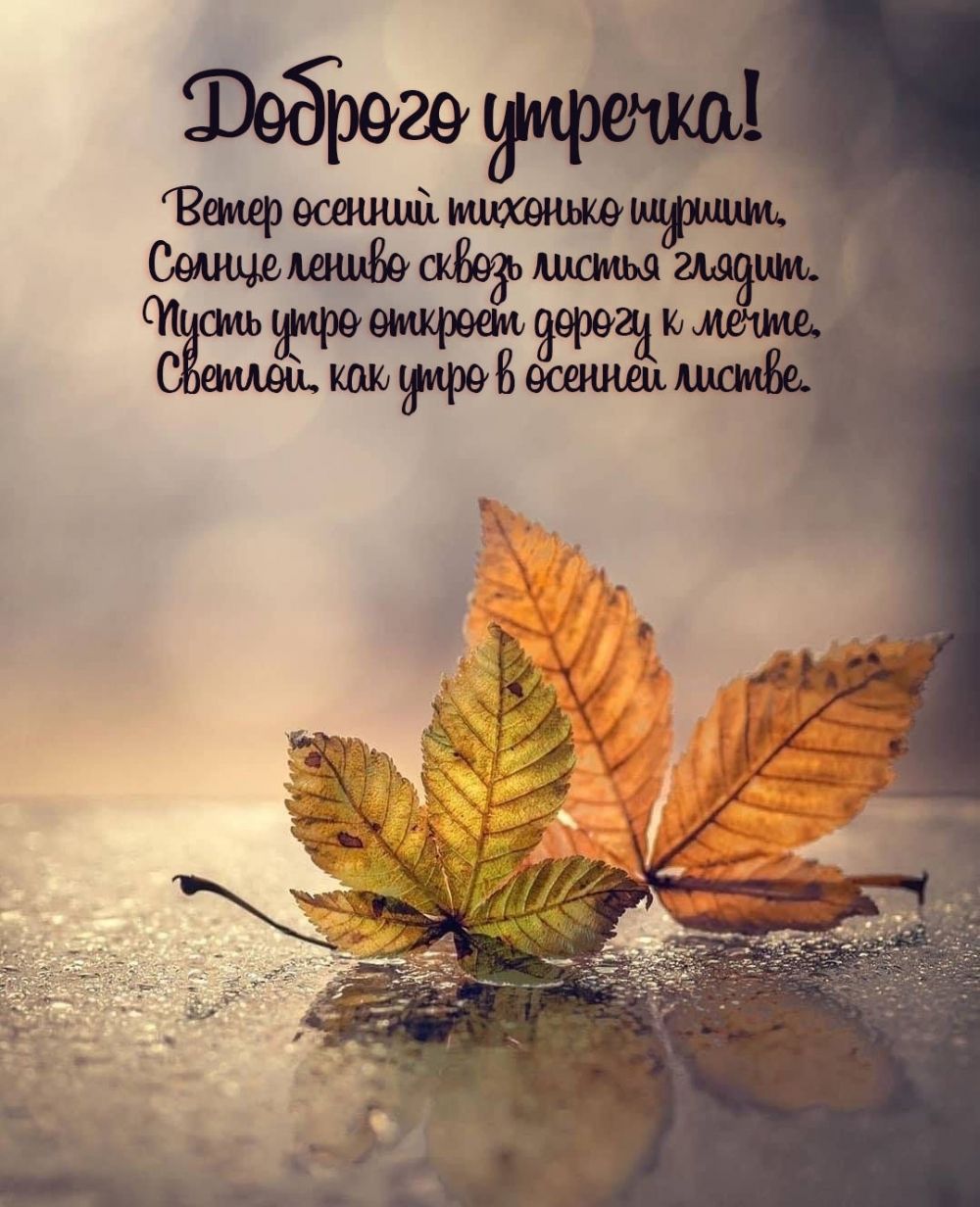 Открытка «С добрым утром»: С добрым утром: Красивое пожелание в стихах про осень. Тэги: С добрым осенним утром…