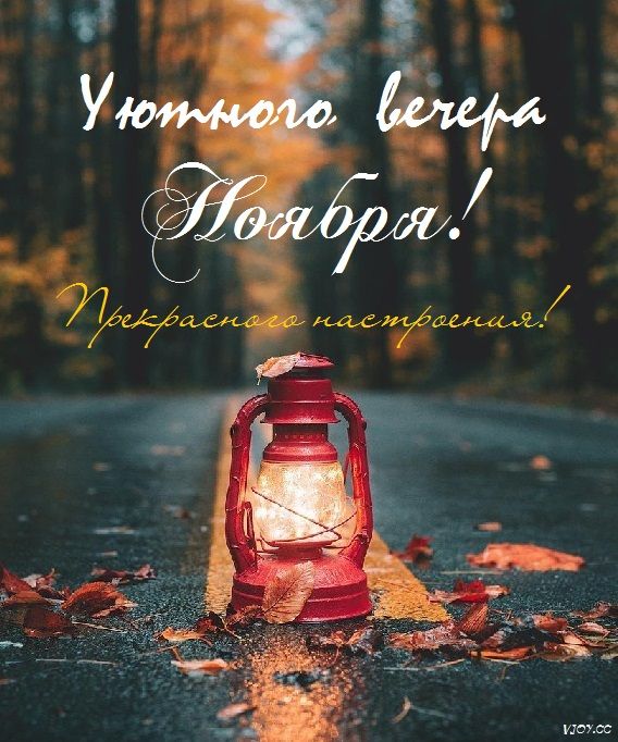 Открытка «Добрый вечер и пожелания»: Уютного вечера Ноября! Пожелание прекрасного настроения. Тэги: Доброго вечера и…