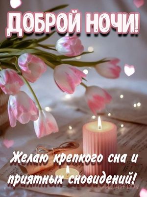 Открытка «Доброй ночи»: Доброй ночи: Пожелание крепкого сна и тюльпаны.