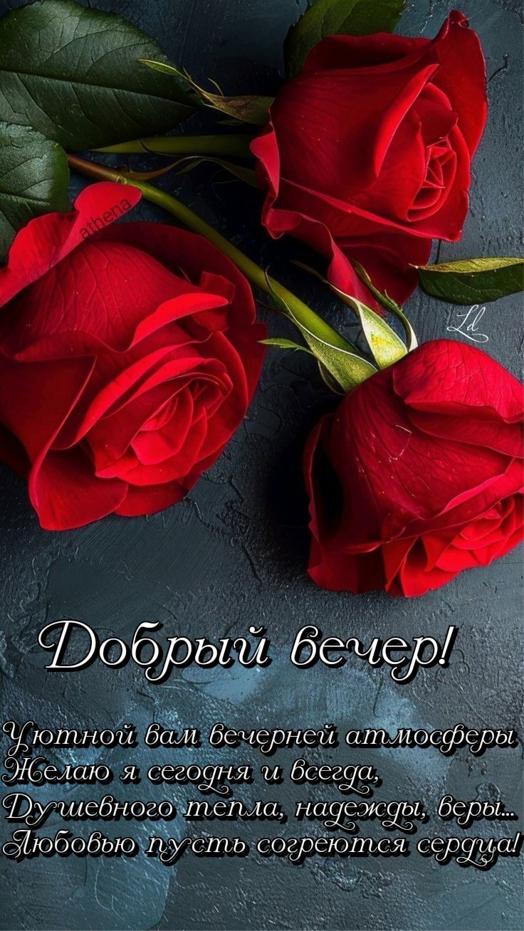 Открытка «Пожелание»: Добрый вечер: Красные розы с душевным пожеланием. Тэги: сердце, красивый, роза, цветок, лист…