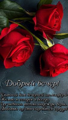 Открытка «Добрый вечер и пожелания»: Добрый вечер: Красные розы с душевным пожеланием. Тэги: Добрый вечер красивые…