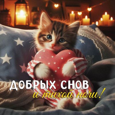 Открытка «Доброй ночи»: Милый кот пожелает спокойной ночи.