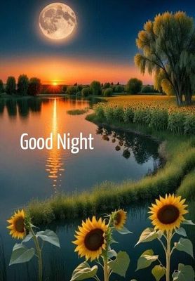 Открытка «Добрый вечер и пожелания»: Доброй ночи: «Красивый пейзаж с подсолнухами и луной». Тэги: Добрый вечер красив…