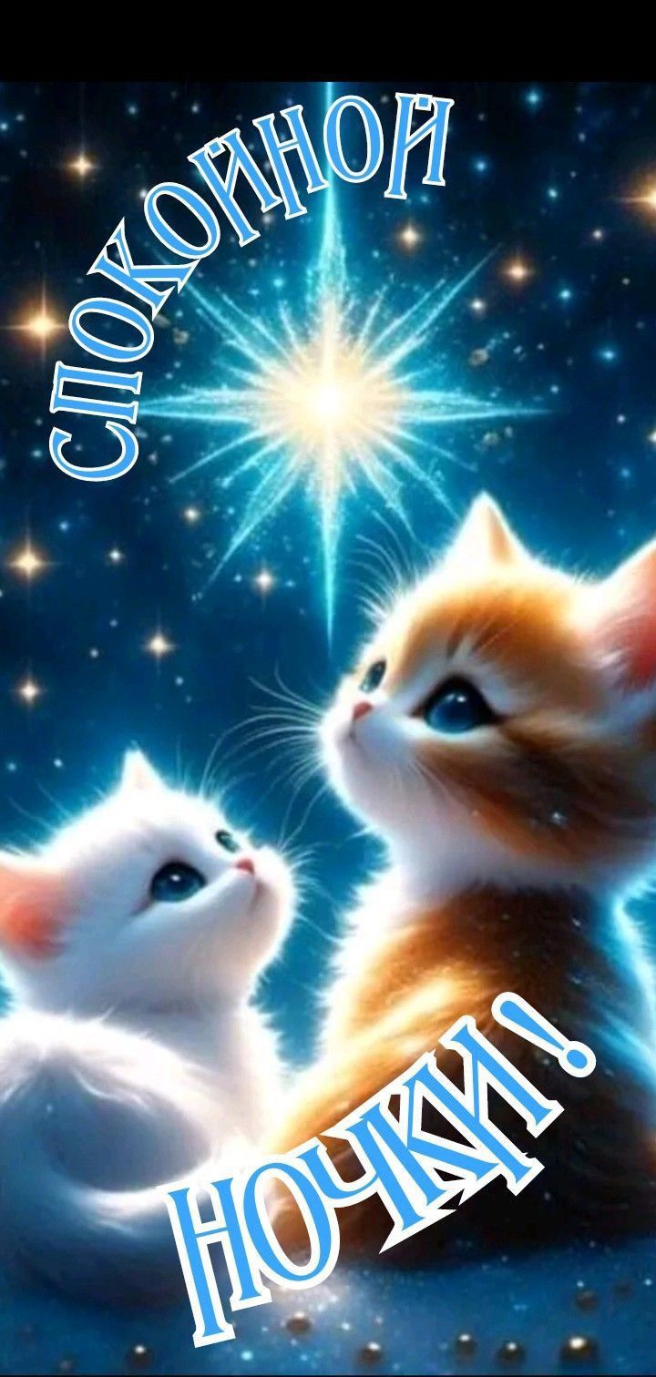 Открытка «Спокойной ночи»: Спокойной ночи: Милые котята смотрят на звезду. Тэги: Спокойной ночи, красивые, Спокойной…