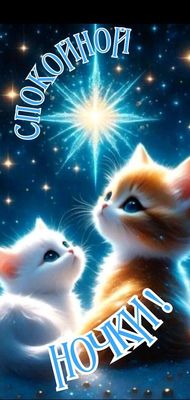 Открытка «Спокойной ночи»: Спокойной ночи: Милые котята смотрят на звезду. Тэги: Спокойной ночи, красивые, Спокойной…