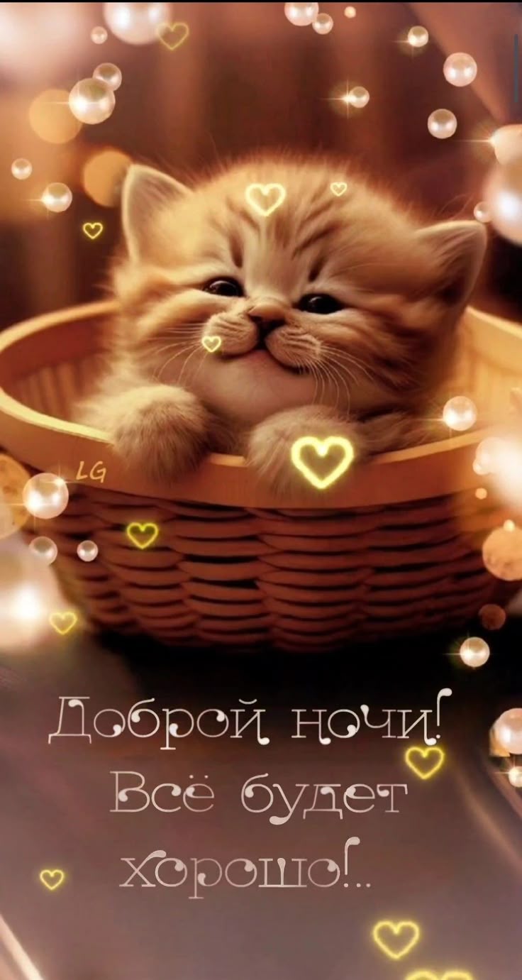 Открытка «Доброй ночи»: Милый котенок в корзинке желает доброй ночи.
