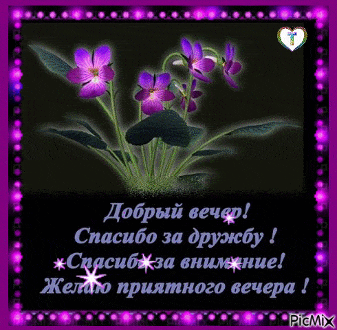 Открытка «Добрый вечер и пожелания»: Добрый вечер: фиалки и текст благодарности другу. Тэги: Добрый вечер красивые…