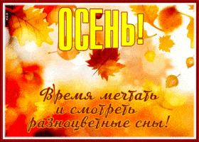 Открытка «С добрым утром»: Осеннее настроение: Время мечтать и смотреть сны. Тэги: С добрым осенним утром, С добрым у…