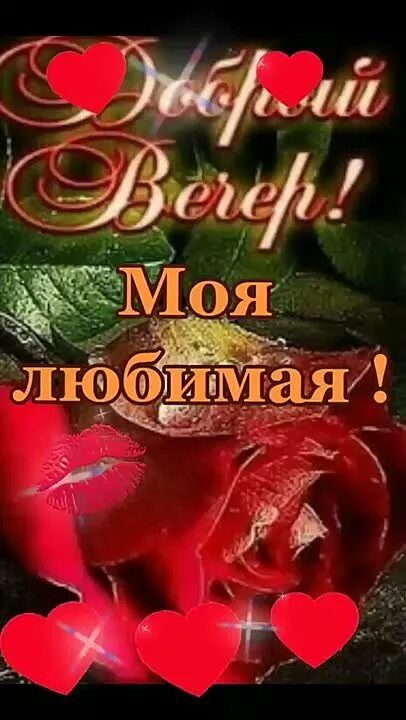 Открытка «Добрый вечер и пожелания»: Добрый вечер: Красивая открытка с розой для любимой. Тэги: Добрый вечер красивые…