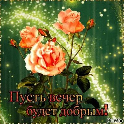 Открытка «Проза»: Добрый вечер: «Нарисованный букет роз» с теплым пожеланием. Тэги: Добрый вечер и пожелания, Добрый…