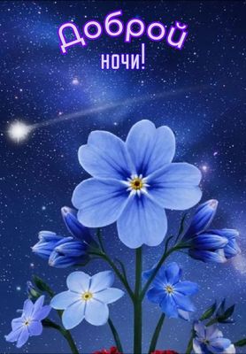 Открытка «Доброй ночи»: Доброй ночи: нежные цветы под звездным небом.