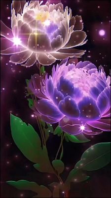 Открытка «Доброй ночи»: Добрый вечер: «Звездный цветок» — красивое пожелание. Тэги: Добрый вечер и пожелания, Добрый…