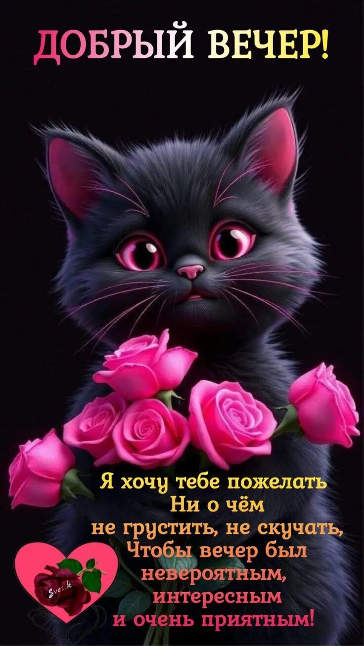 Открытка «Добрый вечер и пожелания»: Добрый вечер: милое пожелание с котенком. Тэги: Добрый вечер красивые, Добрый ве…