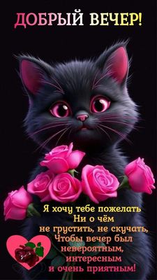 Открытка «Пожелание»: Добрый вечер: милое пожелание с котенком. Тэги: кот, надпись, мультяшка, сердце, милый, красивый…