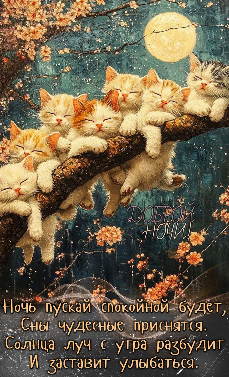 Открытка «Доброй ночи»: Доброй ночи: Спящие котята на цветущей ветке. Тэги: пожелание, кот, милый, стих, красивый…