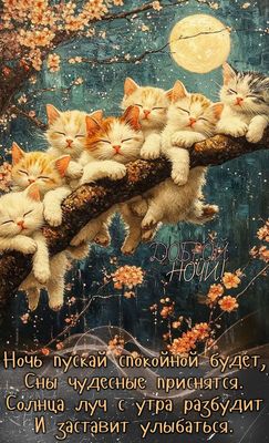 Открытка «Доброй ночи»: Доброй ночи: Спящие котята на цветущей ветке.