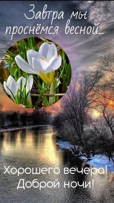 Открытка «Доброй ночи»: Доброй ночи: «Завтра мы проснёмся весной». Тэги: Добрый вечер и пожелания, Добрый зимний вечер…