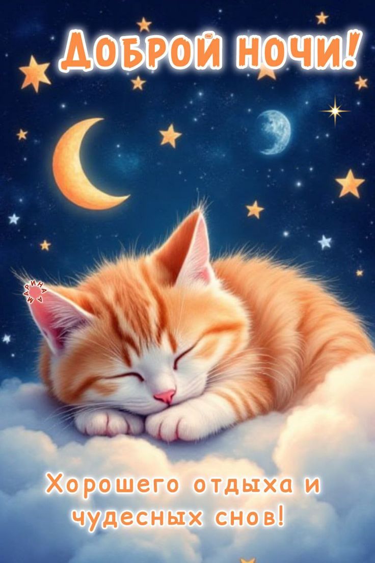 Открытка «Доброй ночи»: Доброй ночи: Милый рыжий кот спит на облаке. Тэги: Спокойной ночи, пожелание, кот, милый…