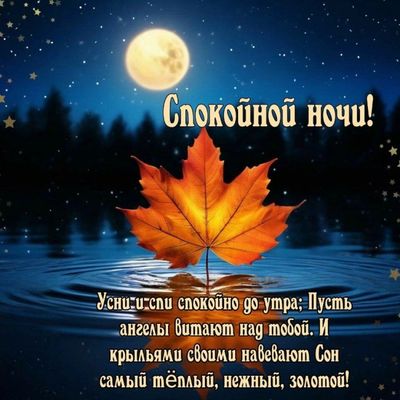 Открытка «Спокойной ночи»: Спокойной ночи: «Золотой лист» под светом. Тэги: Спокойной ночи, красивые, Спокойной ночи…