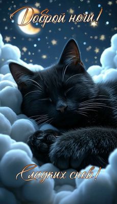 Открытка «Доброй ночи»: Доброй ночи: Черный кот спит на облаках.
