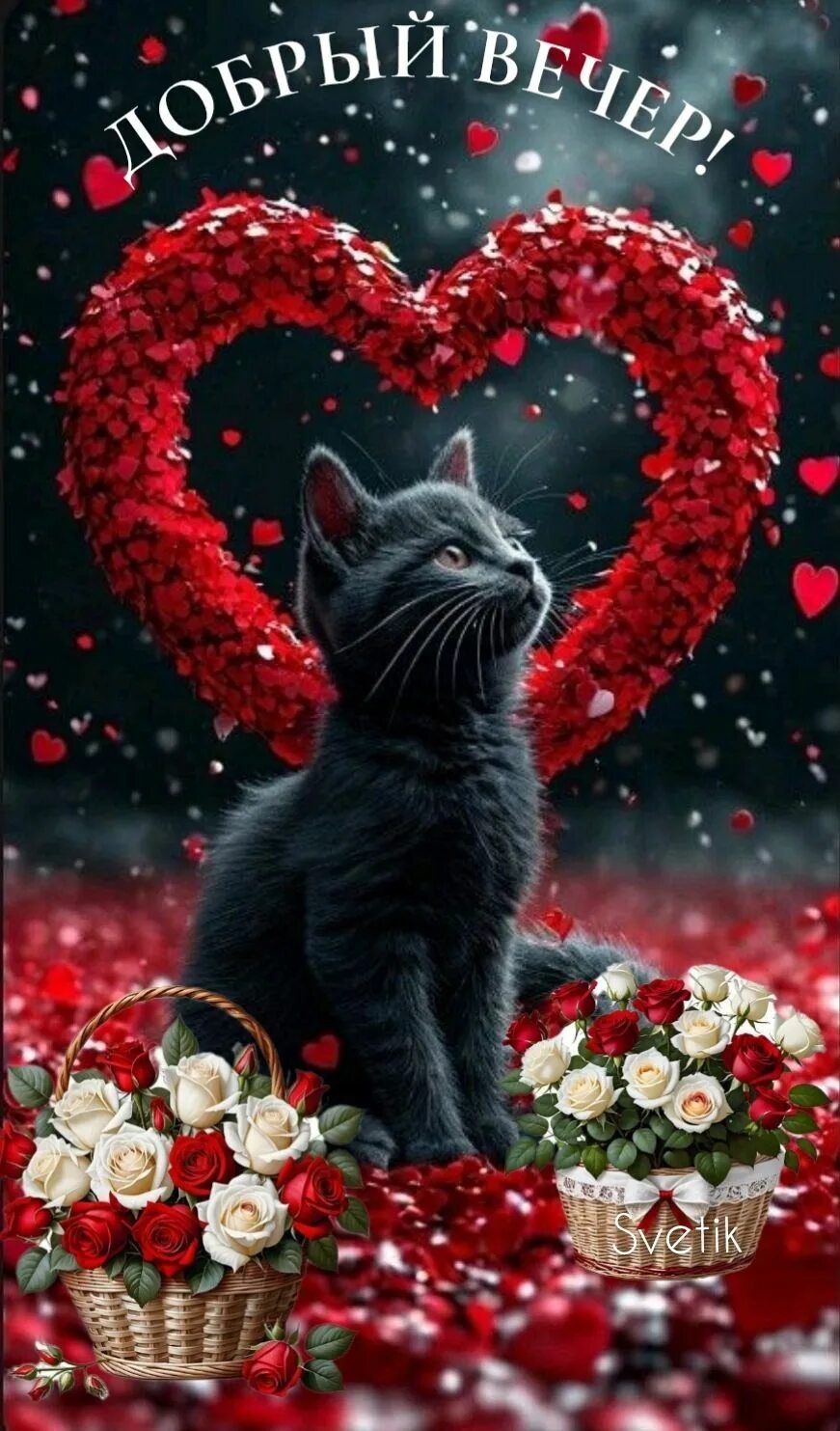 Открытка «Доброго вечера и хорошего настроения»: Добрый вечер: черный кот в сердце из лепестков. Тэги: Добрый вечер…