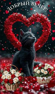 Открытка «Доброго вечера и хорошего настроения»: Добрый вечер: черный кот в сердце из лепестков. Тэги: Добрый вечер…