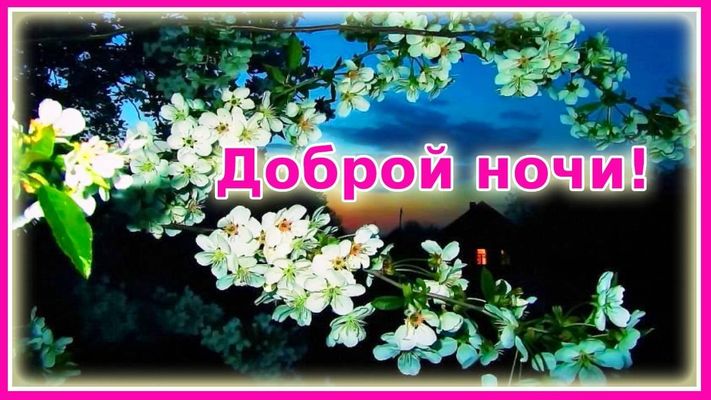 Открытка «Добрый вечер и пожелания»: Добрый вечер: Милый черный кот и букет роз. Тэги: Добрый вечер красивые, Добрый…