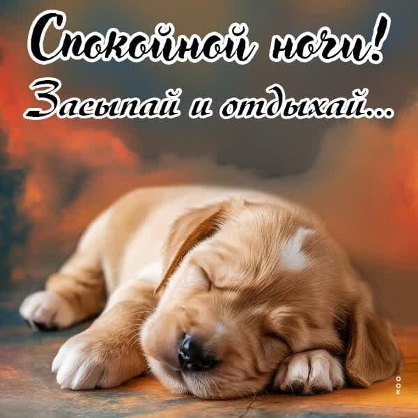 Открытка «Доброй ночи»: Доброй ночи: ветки с белыми цветами и дом.