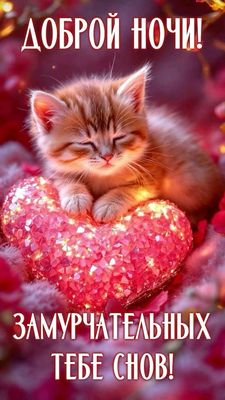 Открытка «Доброй ночи»: Доброй ночи: «Синий букет» в сиянии звёзд. Тэги: Спокойной ночи, Спокойной ночи, красивые…