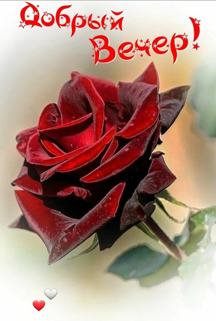 Открытка «Доброй ночи»: Доброй ночи: Милый кот на сверкающем сердце.