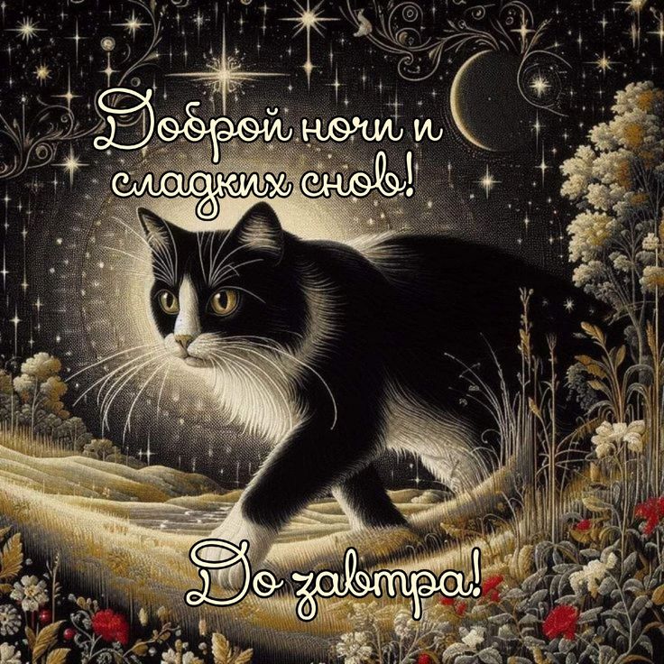 Открытка «Доброй ночи»: Доброй ночи: волшебный кот на лунной дорожке.