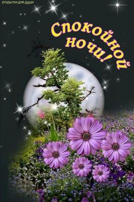 Открытка «Спокойной ночи»: Спокойной ночи: чарующая открытка с луной и цветами. Тэги: Спокойной ночи, красивые…