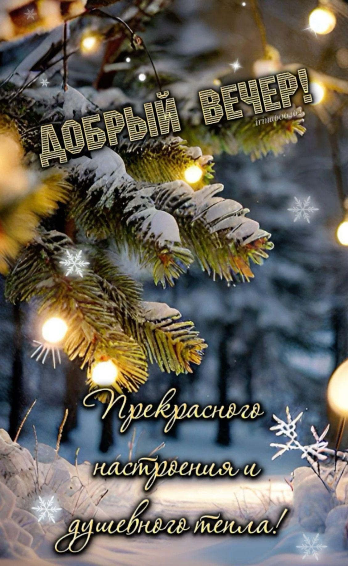 Открытка «Пожелание»: Добрый вечер: Зимний уют на заснеженных ветвях. Тэги: настроение, зима, красивый, уютный, елка…