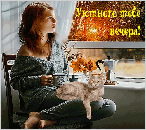 Открытка «Пожелание»: Уютный добрый вечер: Девушка, кот и кофе. Тэги: настроение, кот, женщина, кофе, добрый, осень…