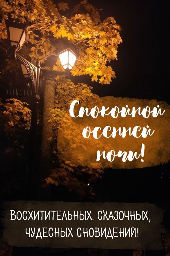 Открытка «Спокойной ночи»: Спокойной ночи: Уютный осенний вечер с фонарем. Тэги: восхитительный, Спокойной ночи…