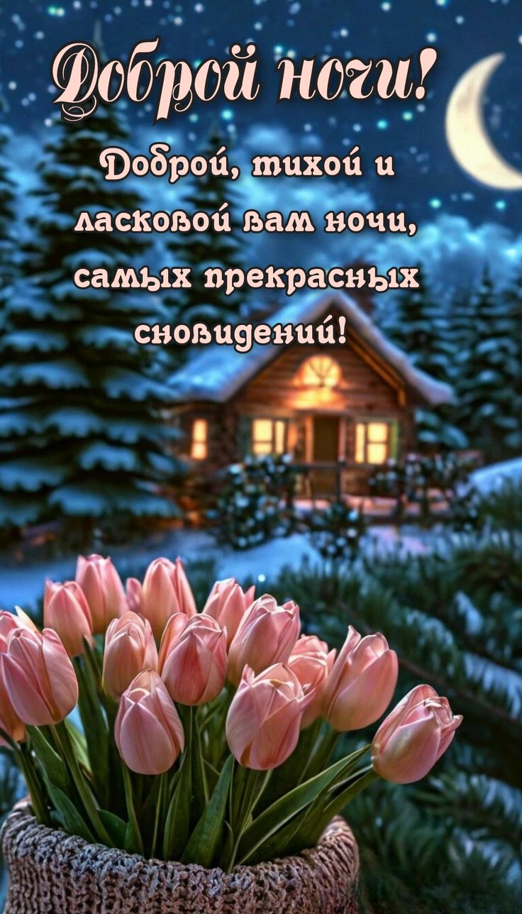 Открытка «Доброй ночи»: Доброй ночи: зимний уют и нежные тюльпаны. Тэги: тихий