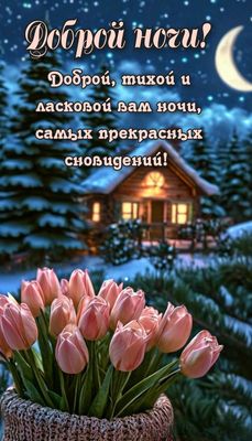 Открытка «Доброй ночи»: Доброй ночи: зимний уют и нежные тюльпаны. Тэги: тихий