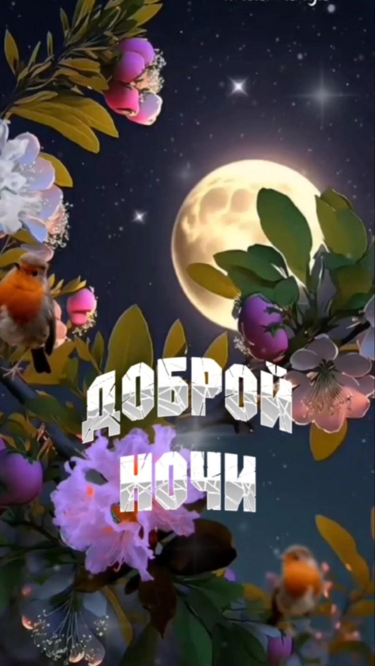 Открытка «Доброй ночи»: Доброй ночи: «Красивая луна и цветы». Тэги: Спокойной ночи, Спокойной ночи, красивые, Спокойн…