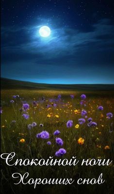 Открытка «Спокойной ночи»: Красивая открытка: «Спокойной ночи на лунном лугу». Тэги: Спокойной ночи, красивые, Спокой…