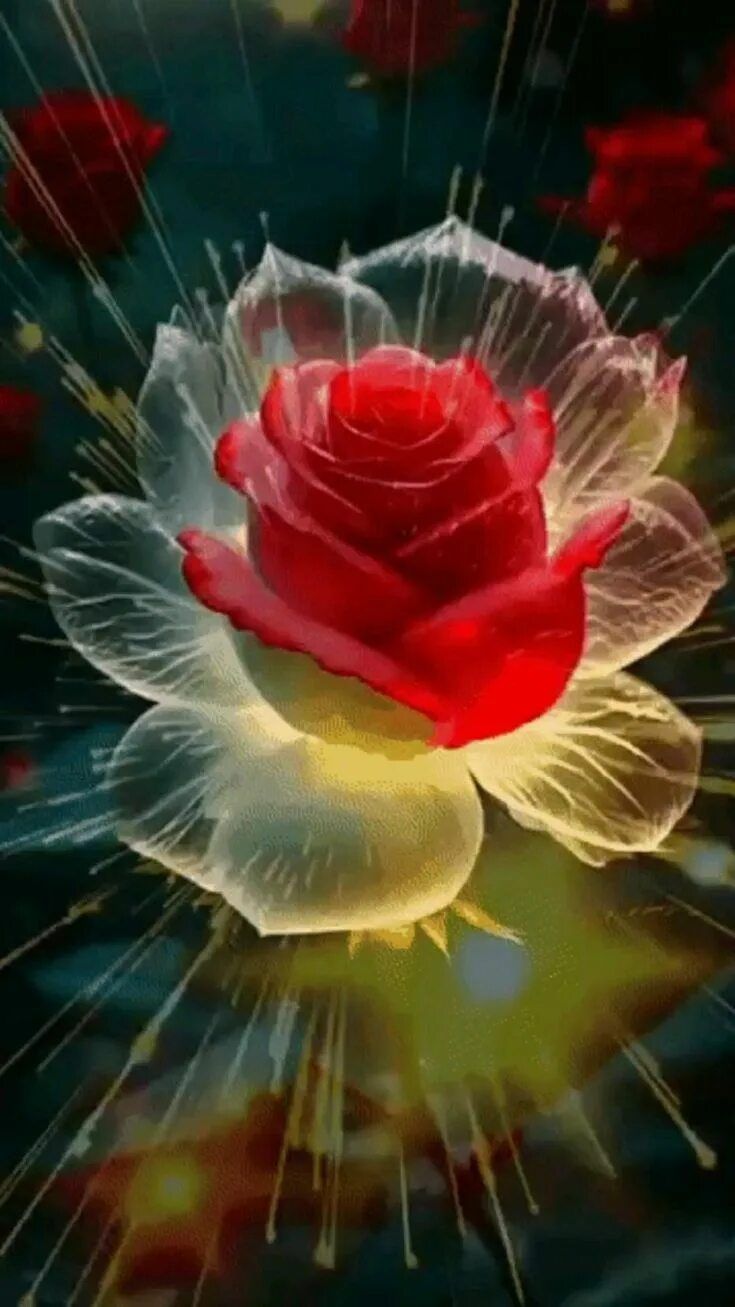 Открытка «С добрым утром»: Красивая роза: Пожелание отличного настроения. Тэги: С добрым утром, женщине, С добрым утр…