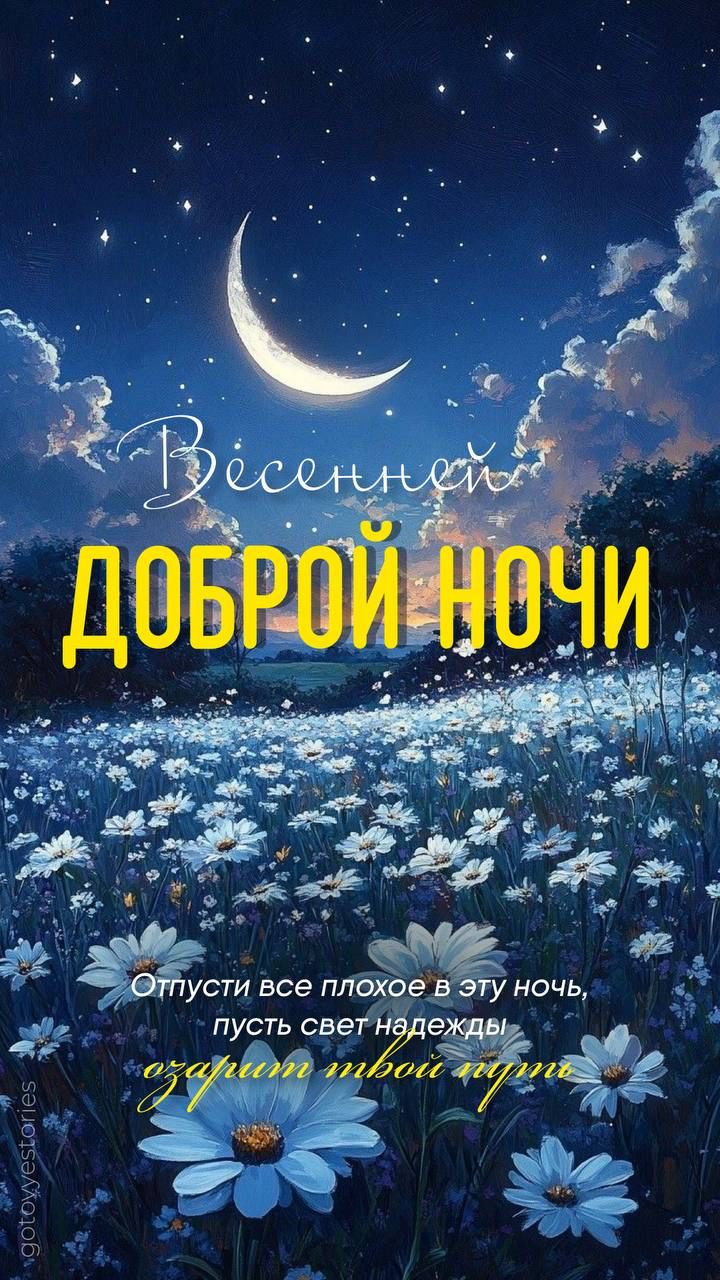 Открытка «Доброй ночи»: Красивая открытка с доброй ночи и ромашками. Тэги: Добрый вечер и пожелания, Доброго вечера и…