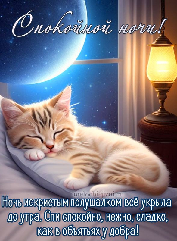 Открытка «Спокойной ночи»: Спокойной ночи: Милый котенок спит под луной. Тэги: Спокойной ночи, с пожеланиями, Спокойн…